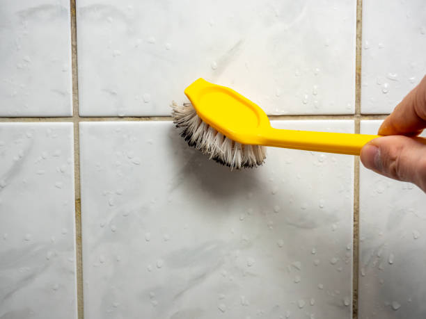 Best Local Mold Removal Service  in Ross, CA
