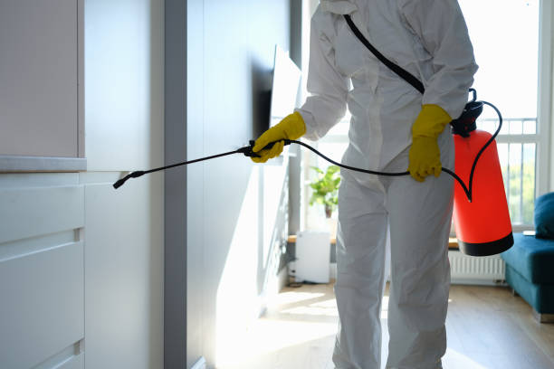 Best Emergency Mold Removal  in Ross, CA