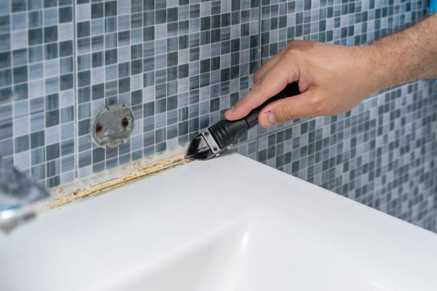 Best Crawl Space Mold Removal  in Ross, CA